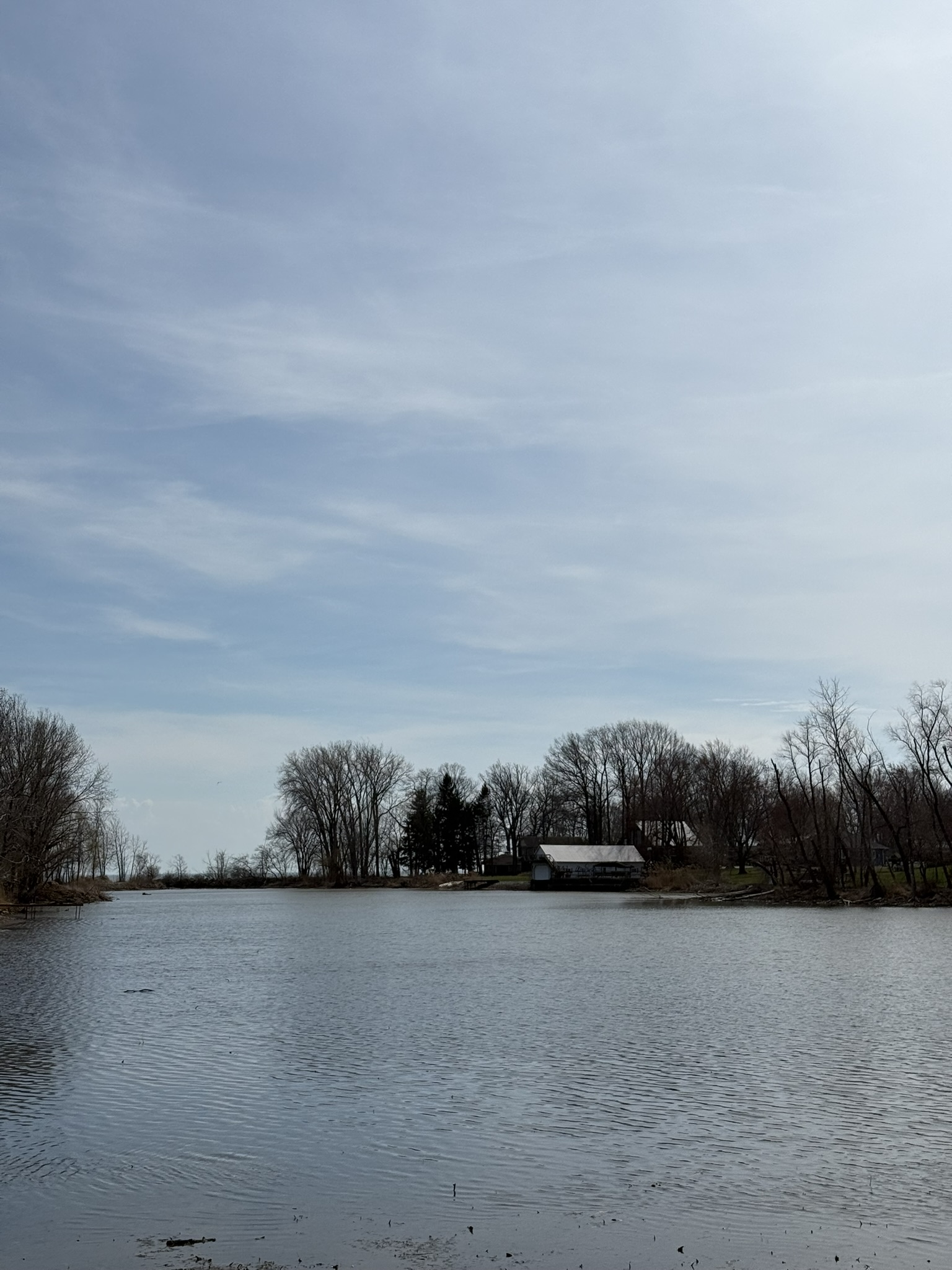 Panoramic creek view with calm water